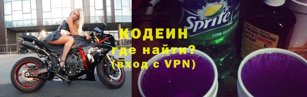 молекула духа Ельня