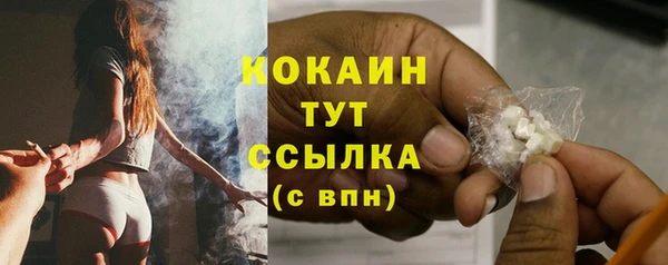 молекула духа Ельня
