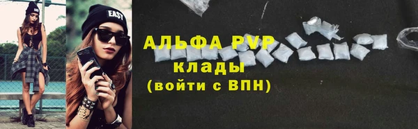 PSILOCYBIN Елизово