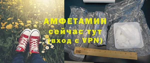 молекула духа Ельня