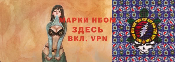 молекула духа Ельня