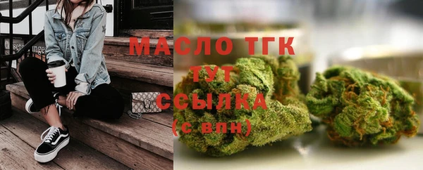 молекула духа Ельня