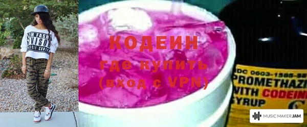 молекула духа Ельня
