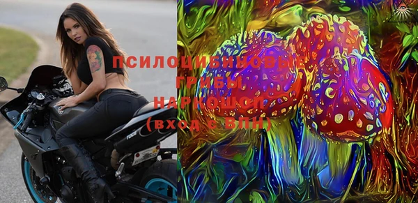 spice Елабуга