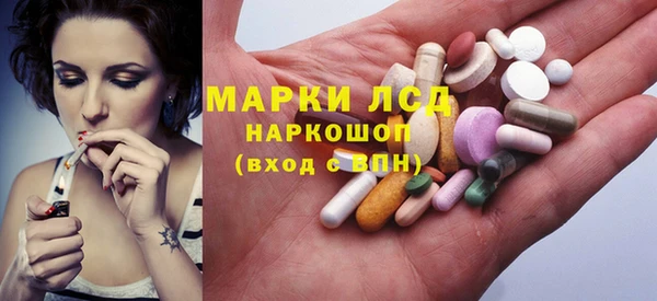 молекула духа Ельня
