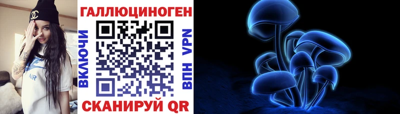 Купить где  Сельцо  Псилоцибиновые грибы Psilocybine cubensis 