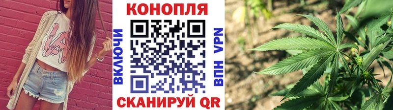 Бошки марихуана SATIVA & INDICA  Купить где  Сельцо 